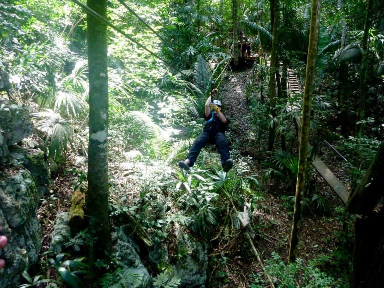 man ziplining through jungle canopy in bocawina