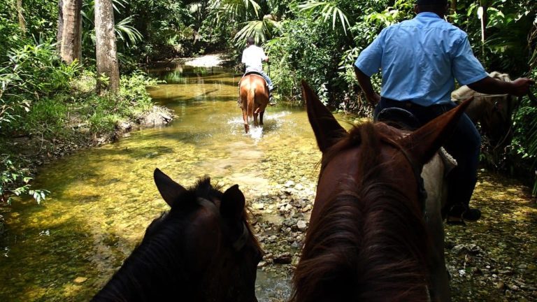 untame belize horseback riding adventure in river