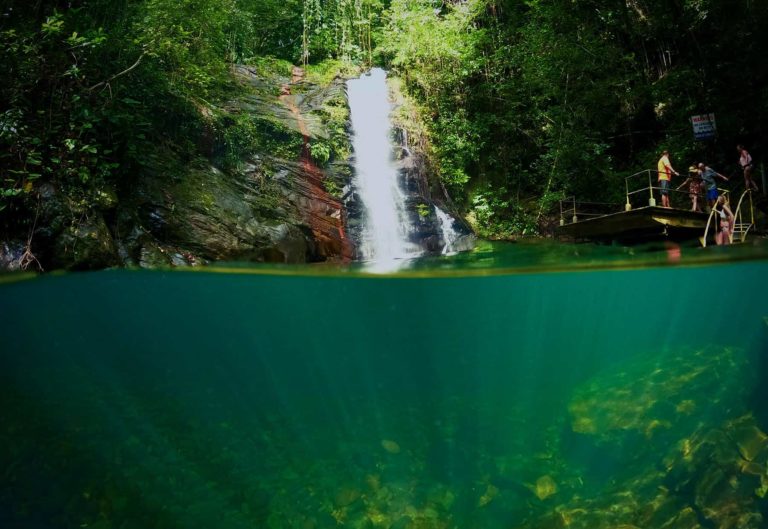 mayan king waterfalls southern belize tour underwater wide shot